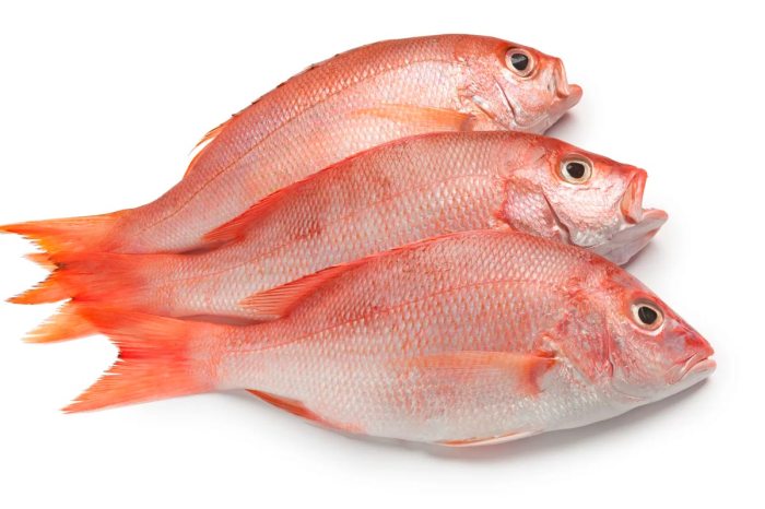 How to cook red snapper japanese style